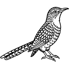 Eurasian Wryneck Vector on White