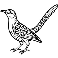 Eurasian Wryneck Vector on White