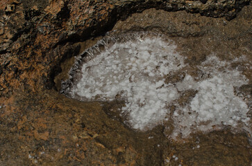 Salt crystals forming in a rocky hollow under the sun as seawater evaporates on a coastal surface