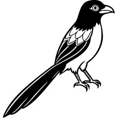 Minimalist Racket-tailed Drongo Vector on White