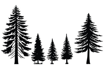 Obraz premium set of pine trees silhouettes vector 