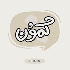(Cumin) Arabic typography text, Vector illustration.