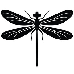 damselfly white background