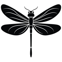 damselfly white background