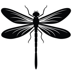 damselfly white background