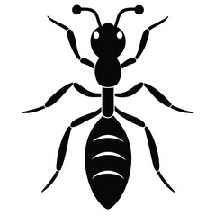 fire ant white background