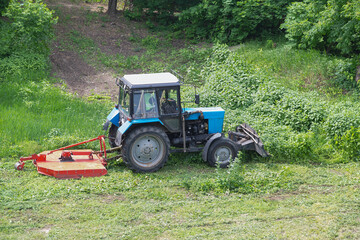 A large red tractor with an industrial lawn mower is mowing a weed-infested lawn in the summer. The tractor is clearing overgrown green grass, part of the municipal services working in the park. © Александр Ланевский