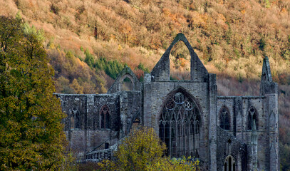 Wales landscape with Tintern Abbey at autumn surrounded by forest