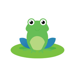 Fototapeta premium green frog on a white background