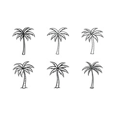 Flower Sketch Palm Vector Illustration – Digital Art for Microstock Downloads