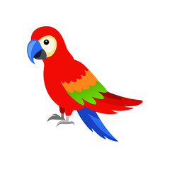 Parrot: The Colorful Birds of the Tropics