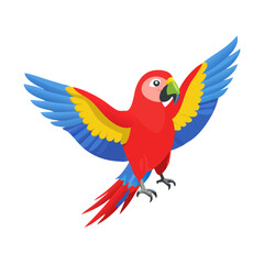 Parrot: The Colorful Birds of the Tropics