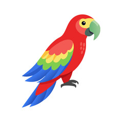 Parrot: The Colorful Birds of the Tropics