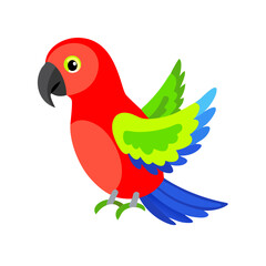Parrot: The Colorful Birds of the Tropics