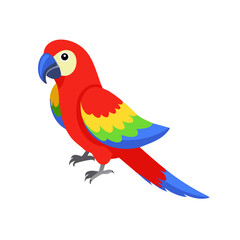 Parrot: The Colorful Birds of the Tropics