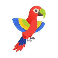 Parrot: The Colorful Birds of the Tropics