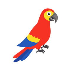 Parrot: The Colorful Birds of the Tropics