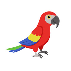 Parrot: The Colorful Birds of the Tropics