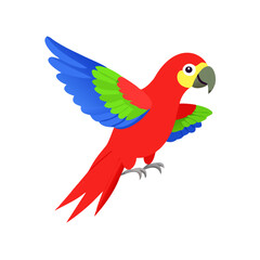 Parrot: The Colorful Birds of the Tropics