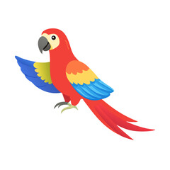 Parrot: The Colorful Birds of the Tropics