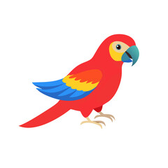 Parrot: The Colorful Birds of the Tropics