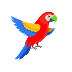 Parrot: The Colorful Birds of the Tropics
