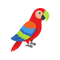Parrot: The Colorful Birds of the Tropics