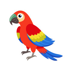 Parrot: The Colorful Birds of the Tropics