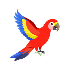 Parrot: The Colorful Birds of the Tropics