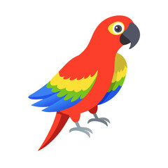 Parrot: The Colorful Birds of the Tropics