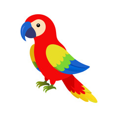 Parrot: The Colorful Birds of the Tropics