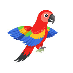 Parrot: The Colorful Birds of the Tropics