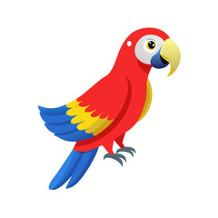 Parrot: The Colorful Birds of the Tropics