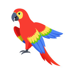 Parrot: The Colorful Birds of the Tropics