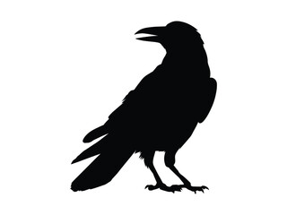 Obraz premium Black Crow Silhouette: Bird, Wildlife, and Nature Icon