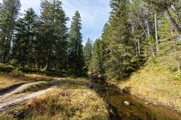 Beautiful high moor landscape in the central swiss alps, where a small stream meanders through the landscape. Glaubenberg, Switzerland.