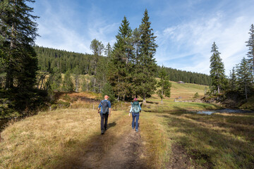 Two hikers enjoying the nature of the swiss alps.