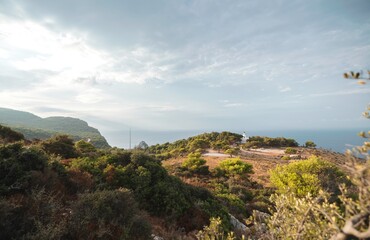 Breathtaking coastal scenery of Zakynthos captured in summer, showcasing lush greenery and dramatic cliffs meeting tranquil waters under a serene sky. Peace and adventure await