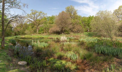 Naturschutzgebiet Bizzenbachtal in Wehrheim im Hochtaunuskreis, Hessen, Deutschland 

