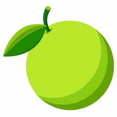 Green lime fruit illustration isolated on white background
