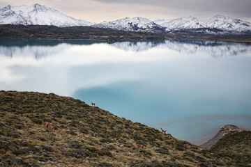 Parque Nacional Perito Moreno