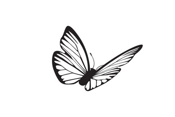 Simple Butterfly flying vector on white background.