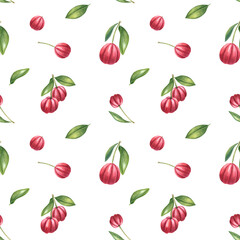 Acerola berries and cherries on branch with green leaves watercolor seamless pattern isolated on white background. Exotic tropical fruits illustration. For vitamin supplement design, doll textile.