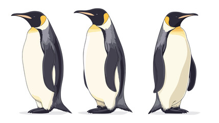 Fototapeta premium Emperor Penguin Vector Illustration on Isolated Background for Wildlife Designs