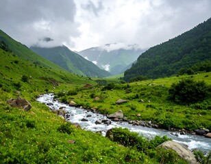 Obraz premium Mountain valley stream