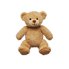 Obraz premium teddy bear isolated on white
