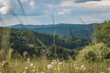 Mountain landscape in the Beskydy Mountains with green fields and sunlit hills under a sky with fluffy white clouds. Peaceful and natural summer atmosphere with warm sunlight.