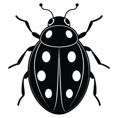 Ladybug Closeup Clip Art