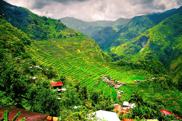 Culture du riz en terrasse à Banaue, site UNASCO aux Philippines