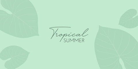 Summer background with clean design, featuring palm leaves and tropical shadows. Perfect for sale banners, flyers, or web graphics